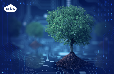 Carbon footprint in the digital world