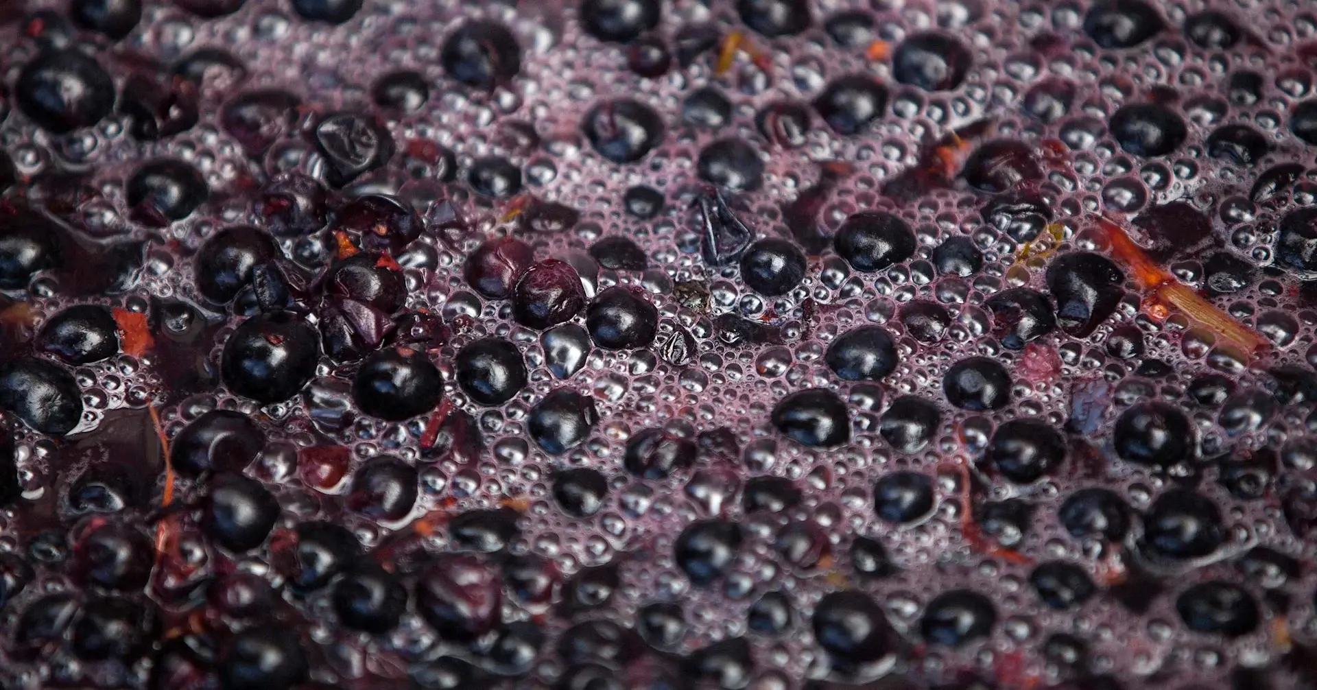 red wine fermenting