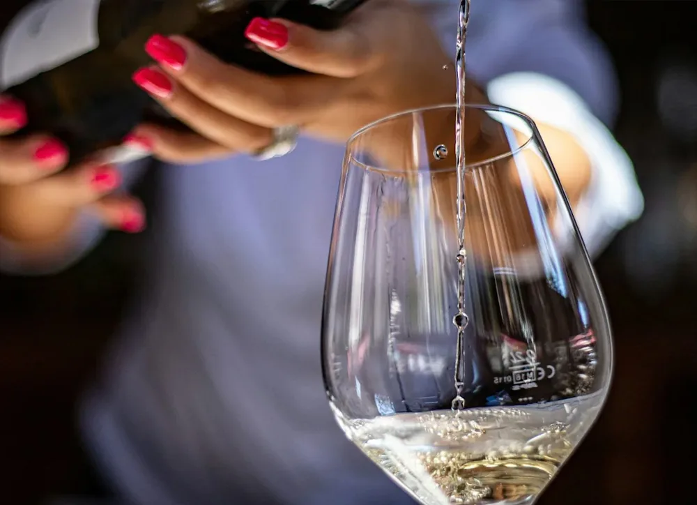 What is Pinot Grigio image