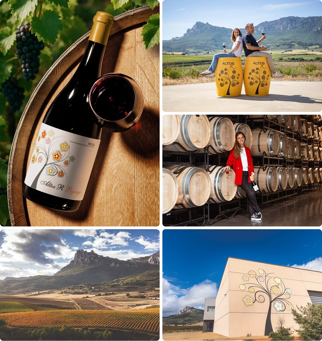 Vineyard Partners - Altos - Intro section grid image