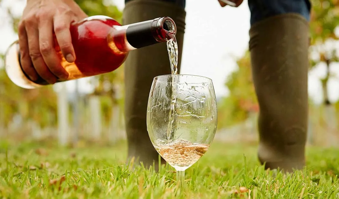 An Introduction to English Wine