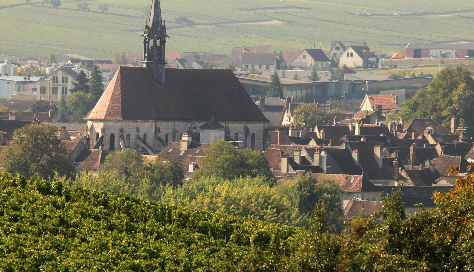 Village church and tiled rooftops overlooking vineyards on surrounding hills in the Chablis region.