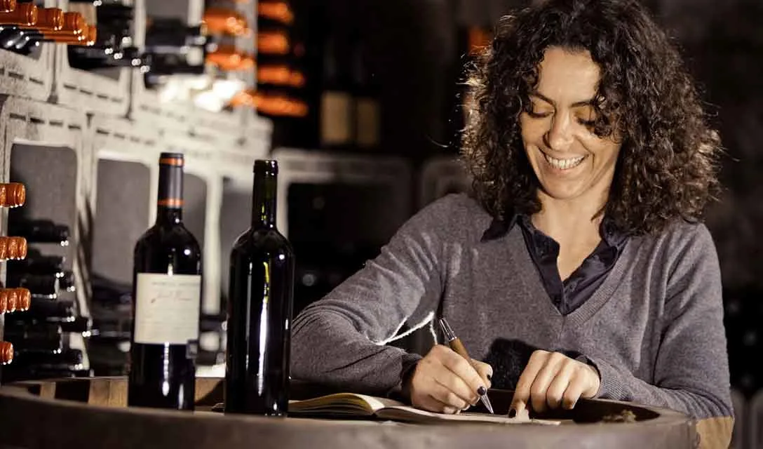 How wine is made – A beginner’s guide