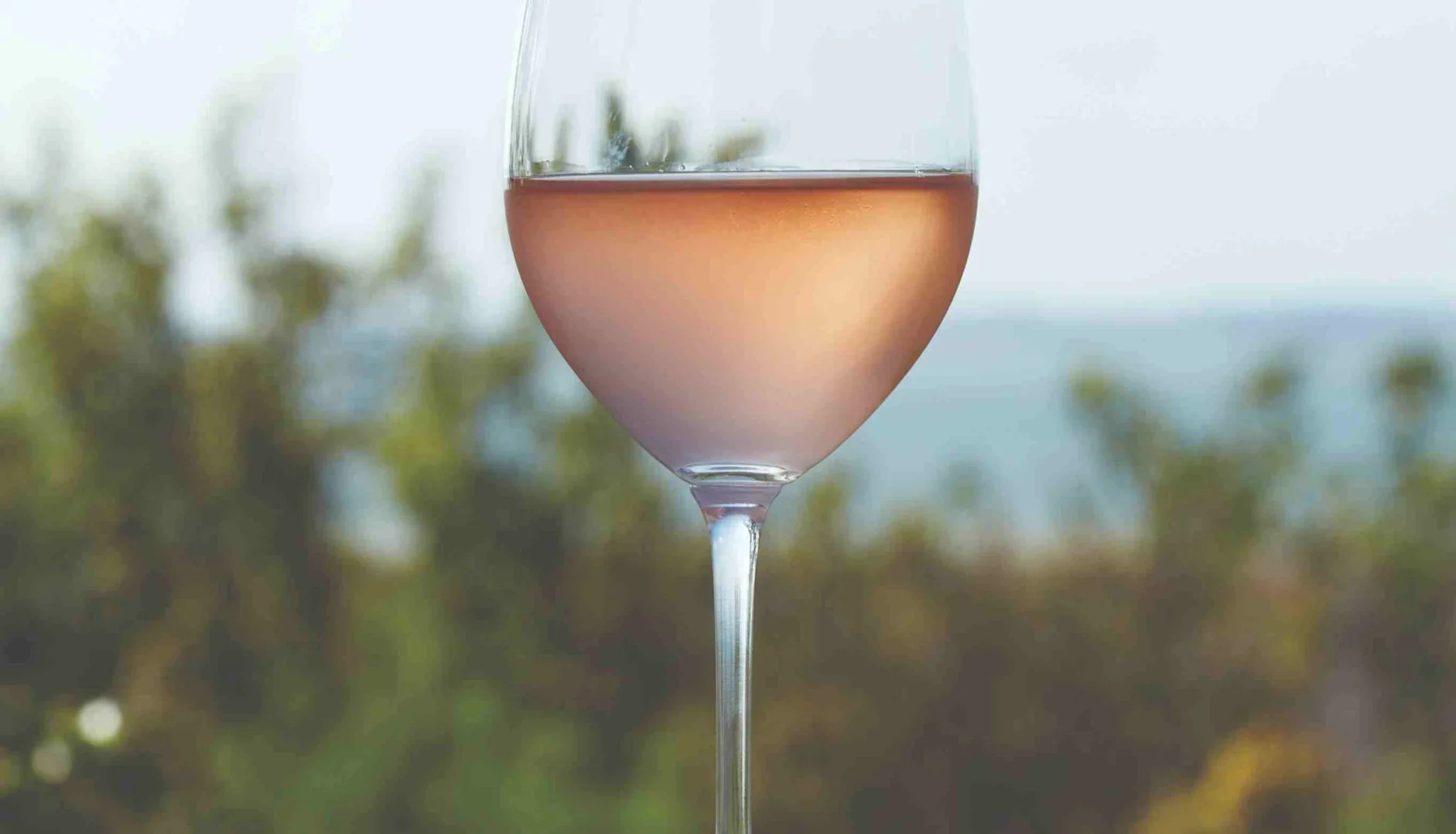 Glass of rosé wine outdoors with soft greenery and water in the background.