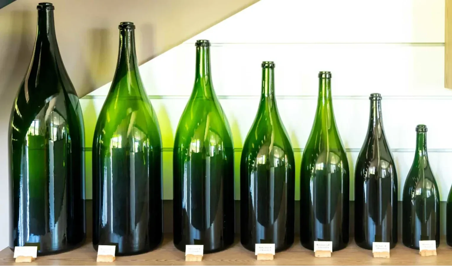 Row of empty green wine bottles in various large formats displayed on a shelf with labels in front.