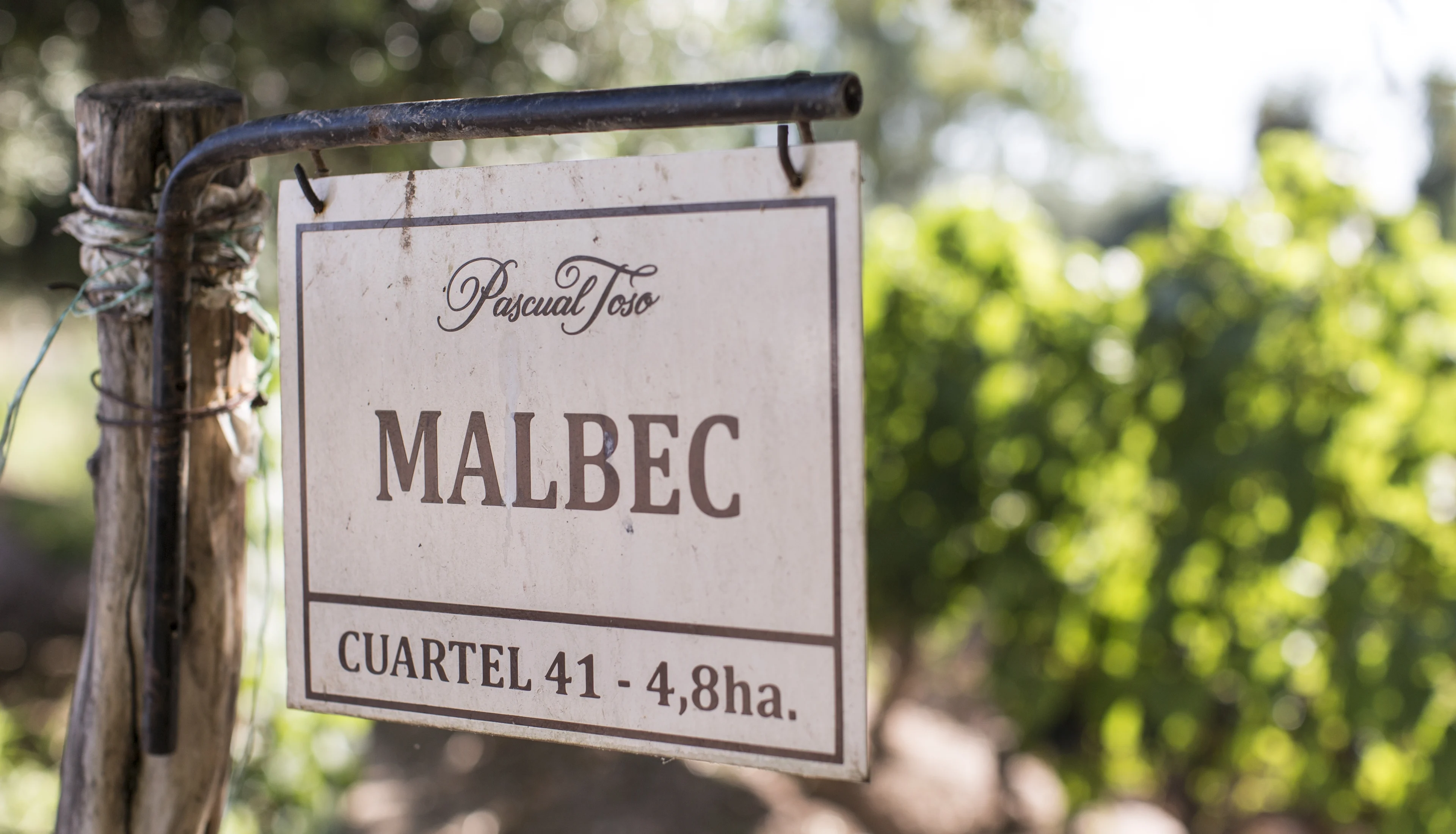 Vineyard sign reading “Malbec, Cuartel 41 – 4.8 ha” hanging beside rows of green grapevines.