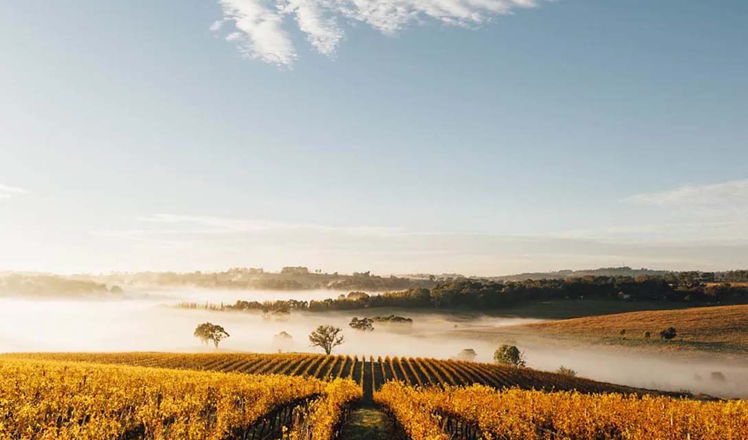 Your quick start guide to Australian wine regions