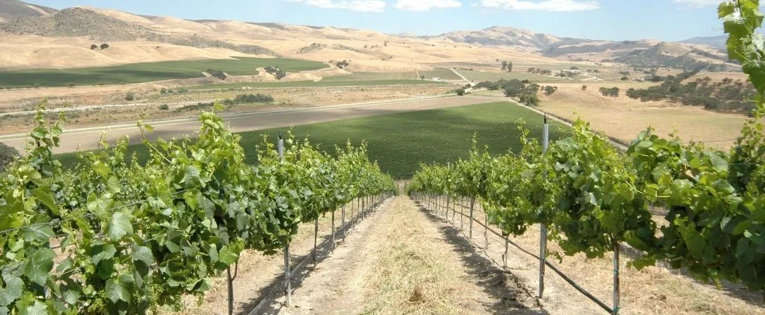 World's Most Popular Wine Regions - North America