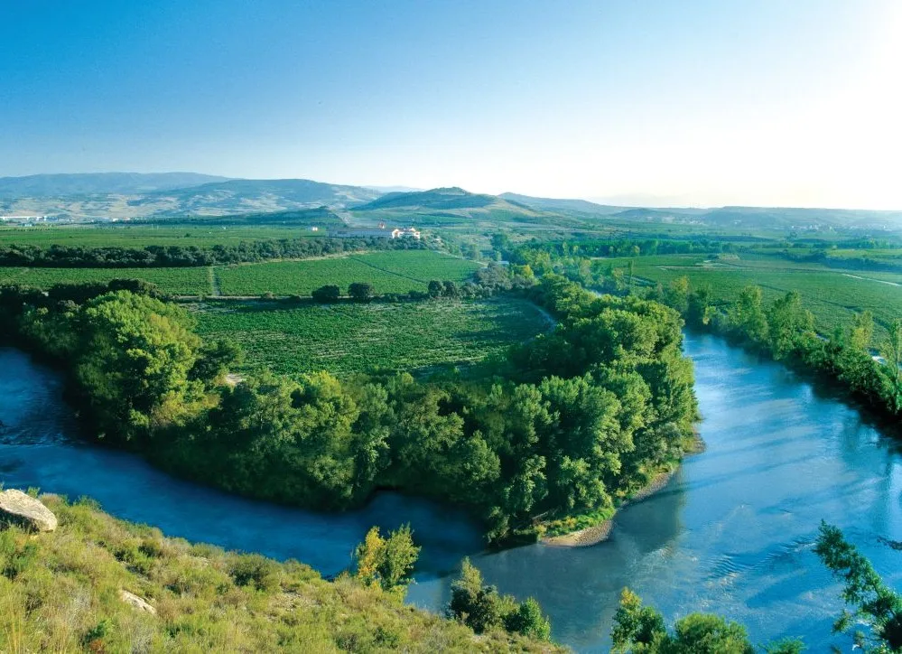 Spanish Wine Regions - Rioja - Body 1 - Image
