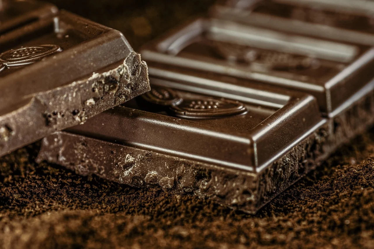 Close-up of dark chocolate bars with a textured, crumbly edge on a cocoa-dusted surface.