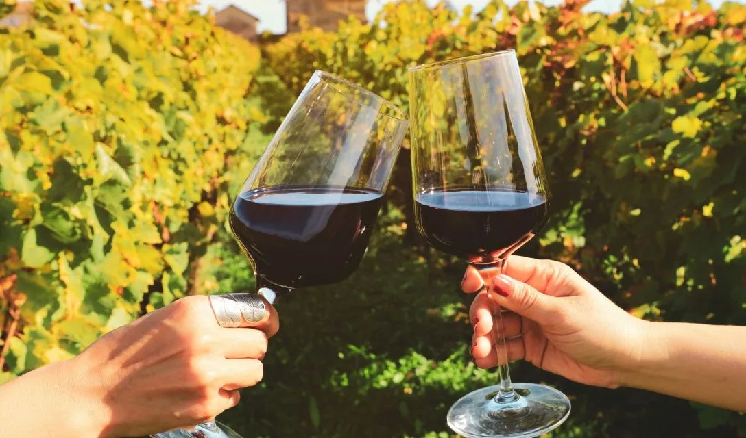 Noble Grape Varieties - Cabernet Sauvignon - Image