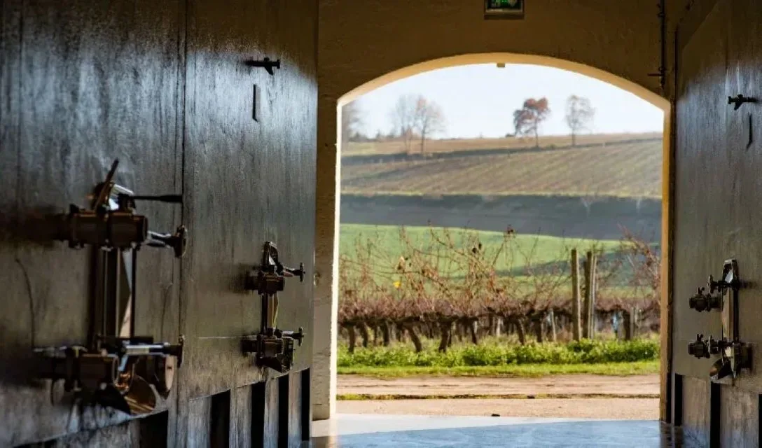 bordeaux - chateau la clariere