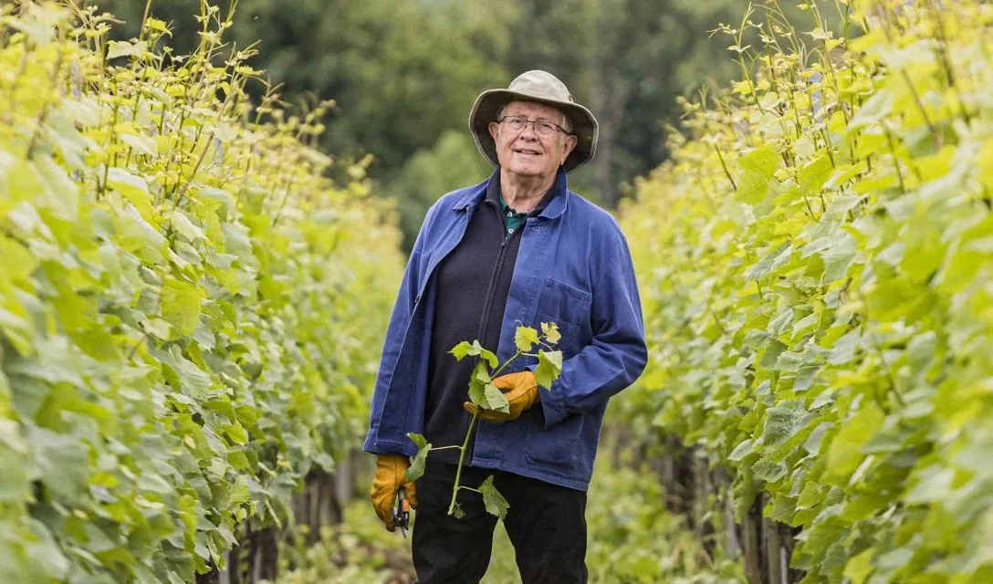 Sustainability in Winemaking