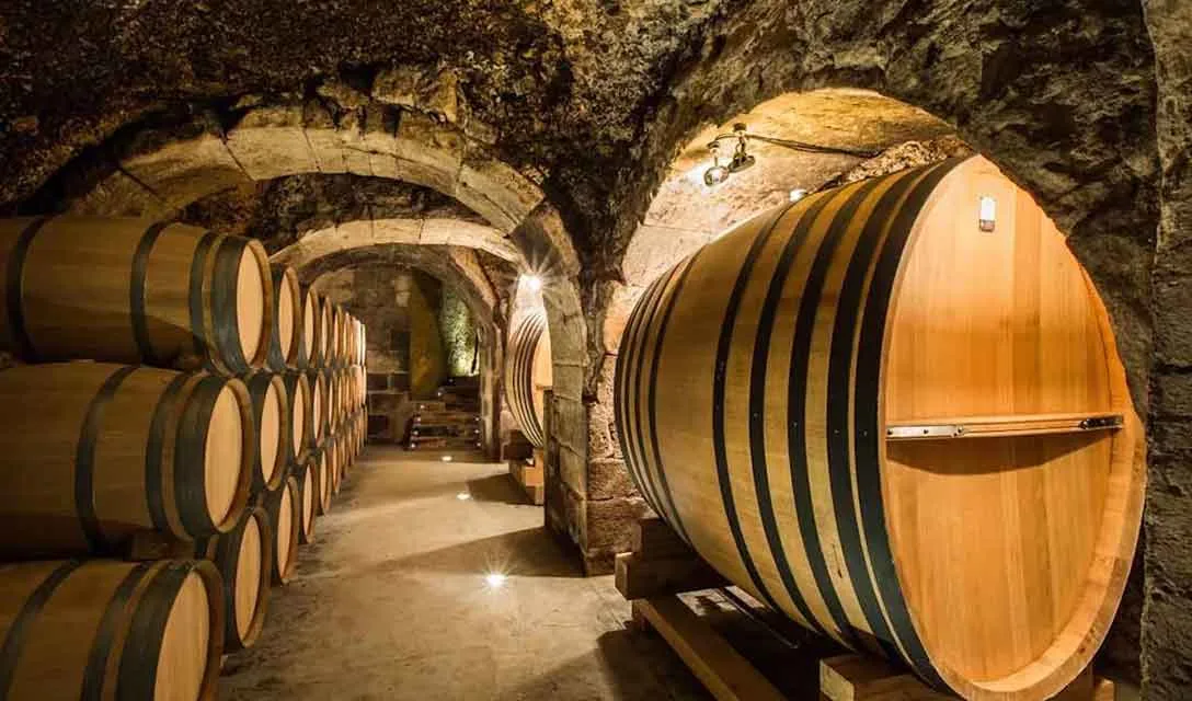 A well-lit wine cellar, with stone walls and archways, the archways contain several wooden casks and barrels aging wine.