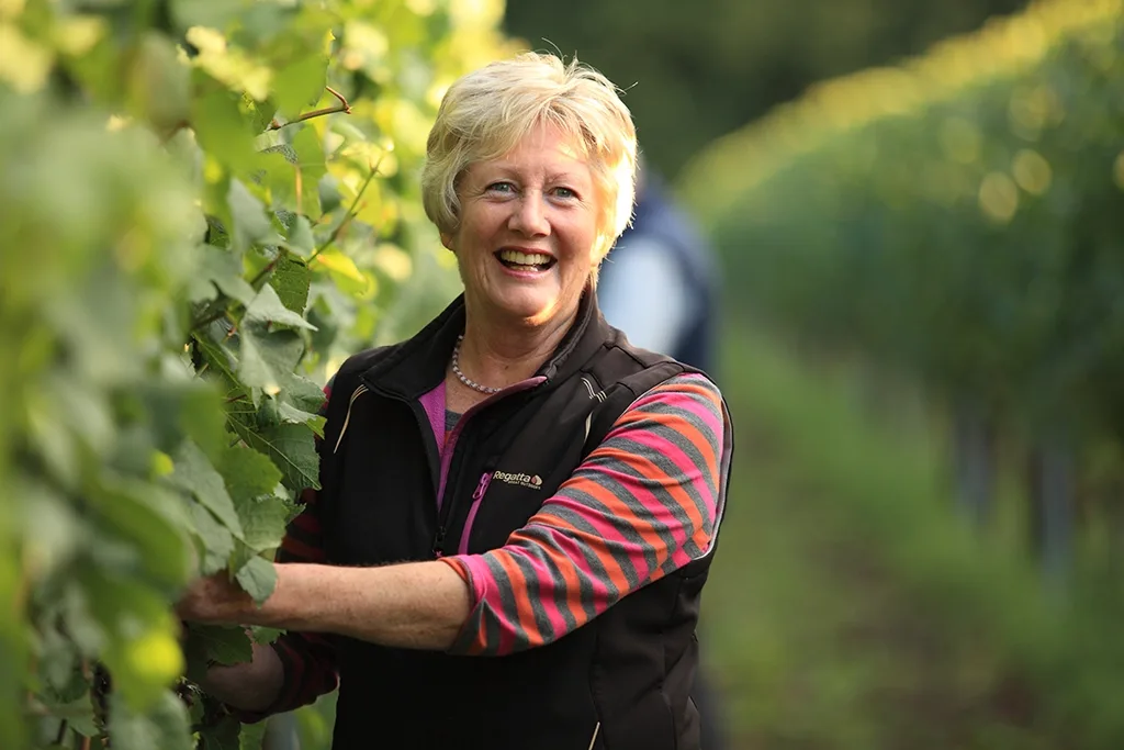 Wyfold - Barbara img