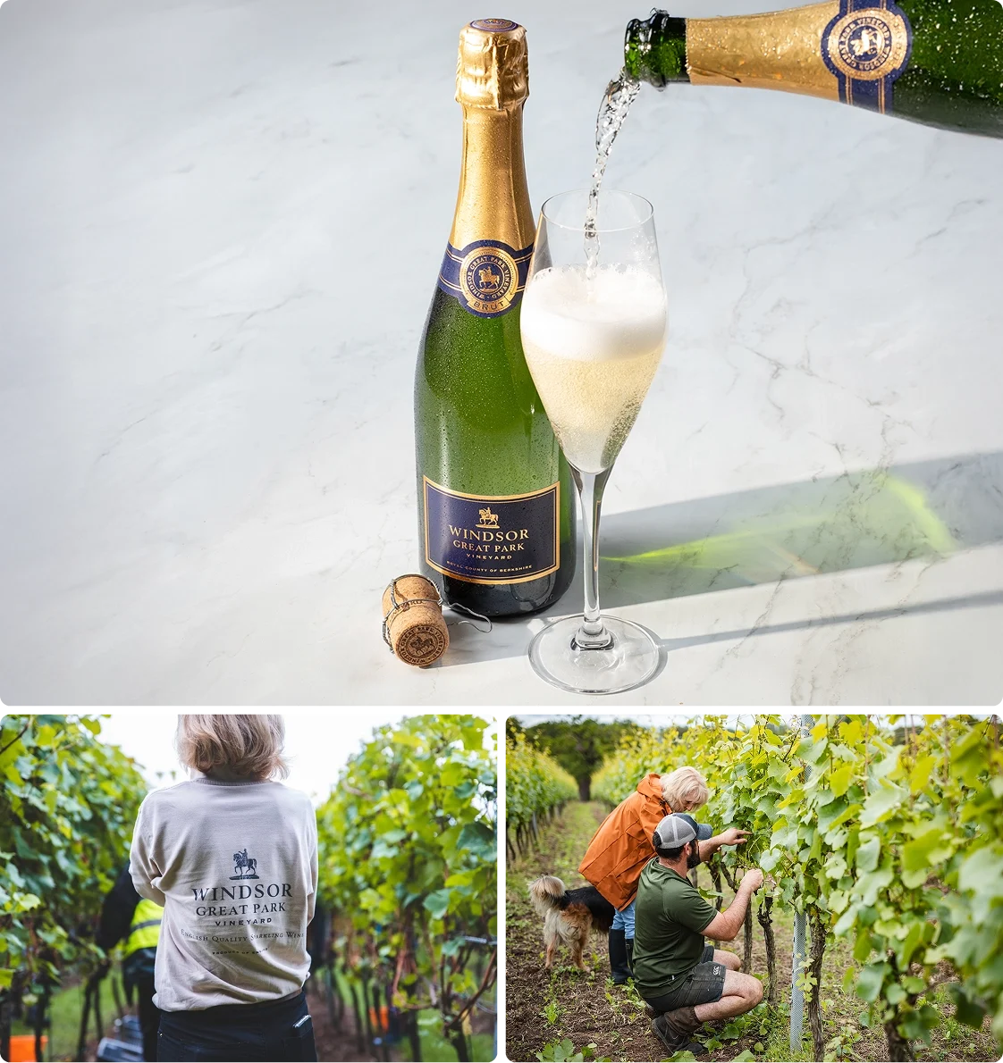 Vineyard Partners - Windsor Great Park - Intro section grid image 