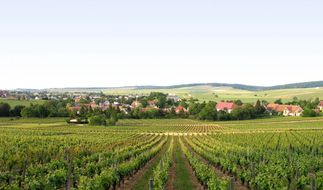 Six must-try Loire wines