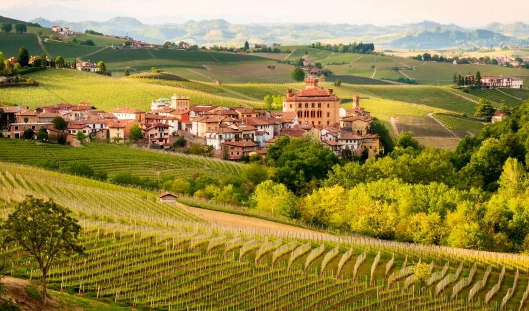 Beginner’s guide to Barolo wine