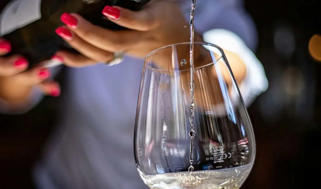 Pinot Grigio Wine Guide