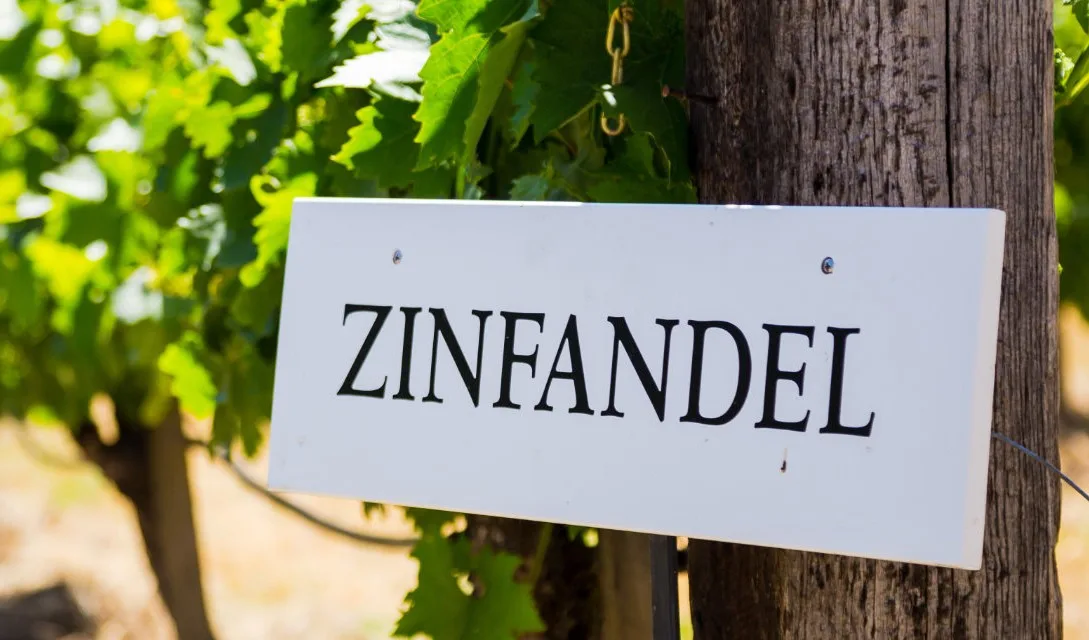 PLP promo - Guide to Zinfandel - Image