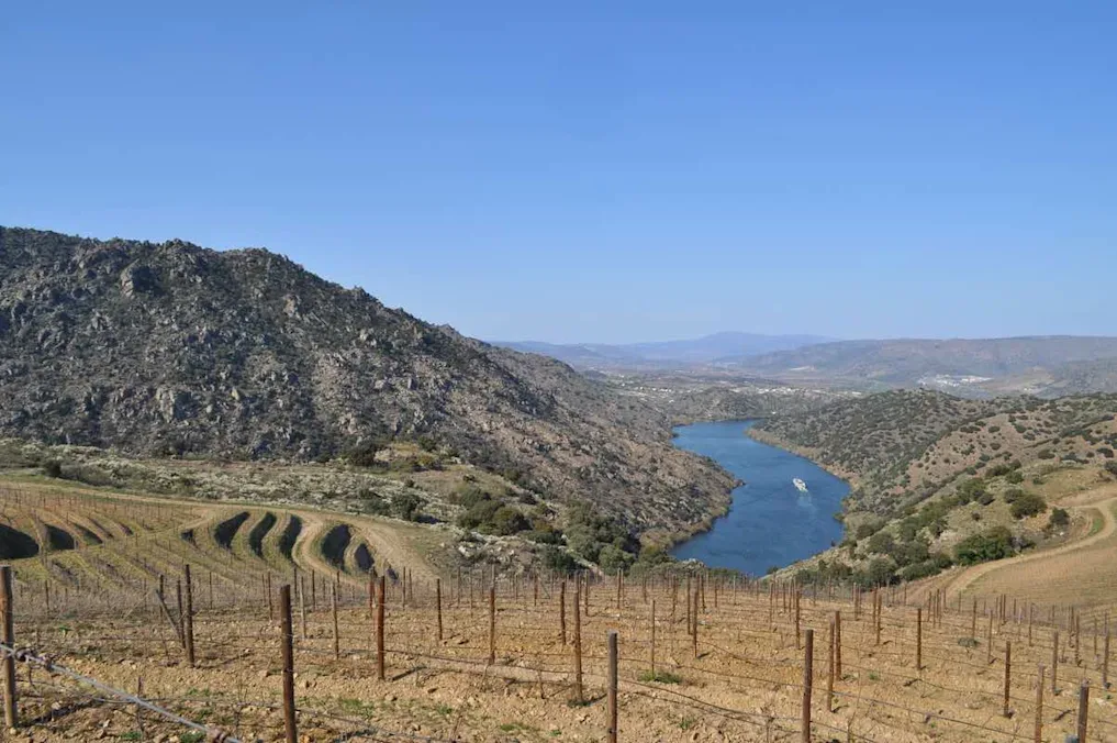 Terraced vineyards and rocky hillsides overlooking a winding river under a clear blue sky.