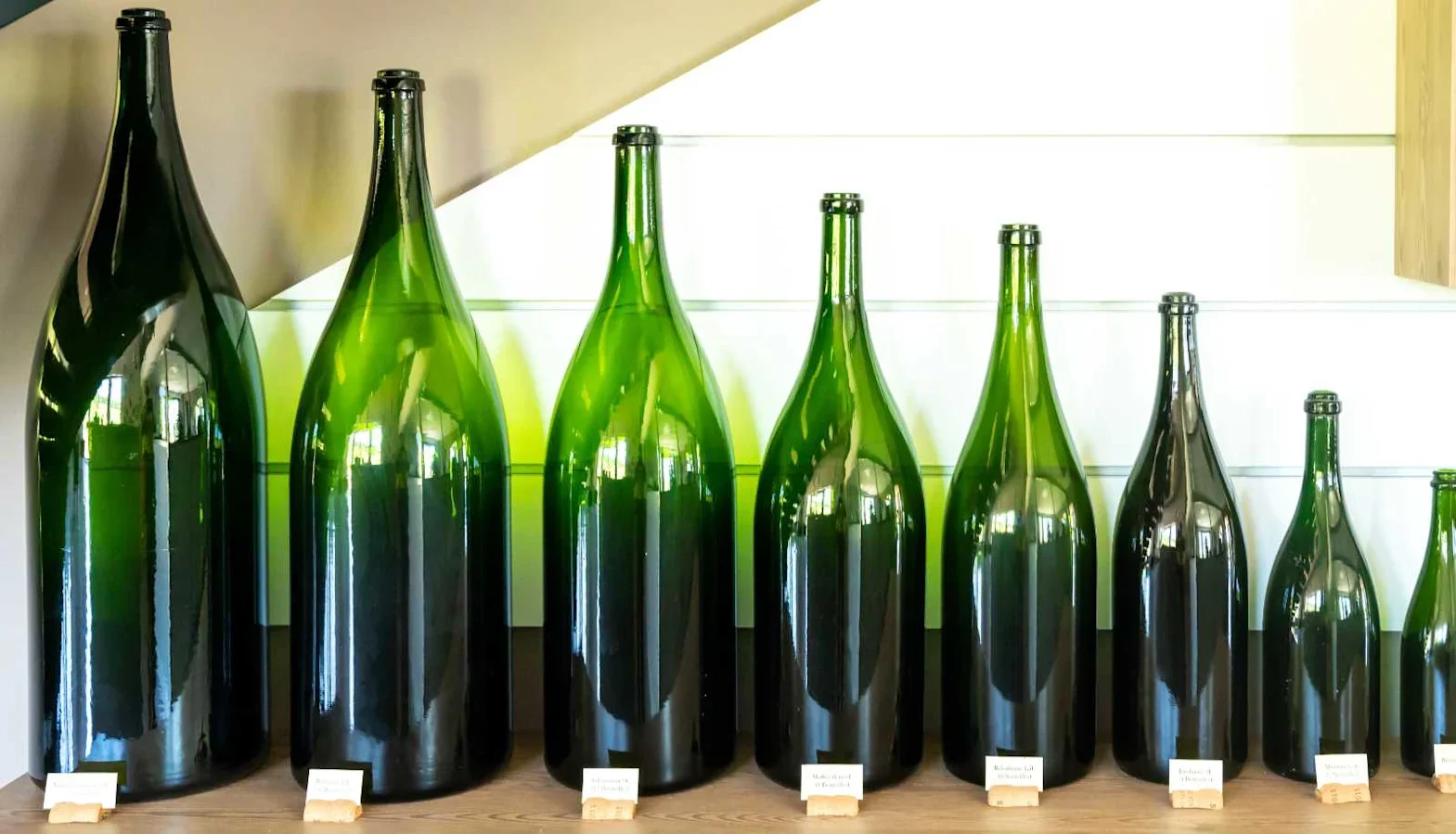 Row of empty green wine bottles in various large formats displayed on a shelf with labels in front.