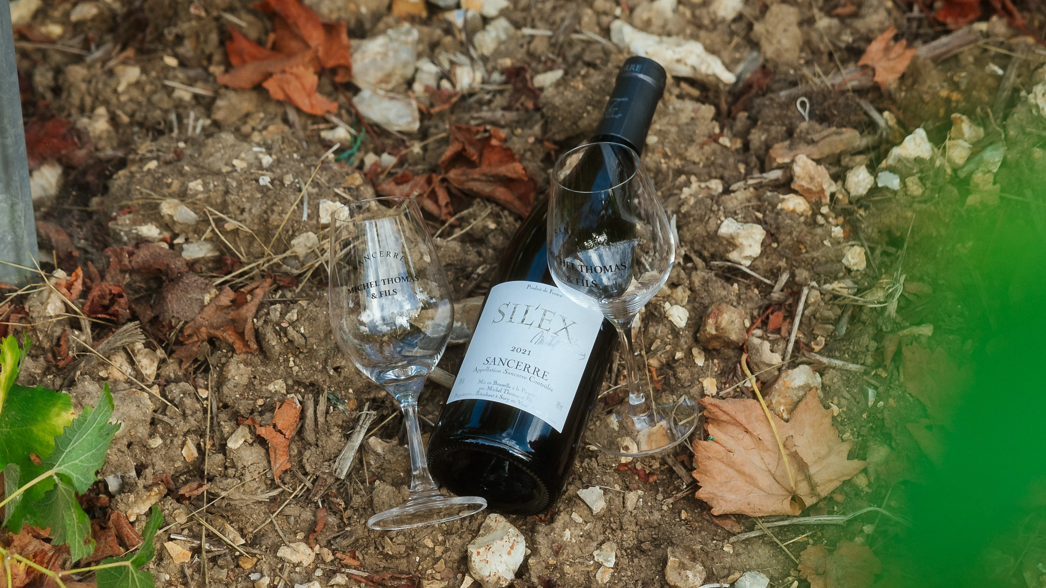 Bottle of Sancerre with two wine glasses resting on stony vineyard soil beneath grapevines.
