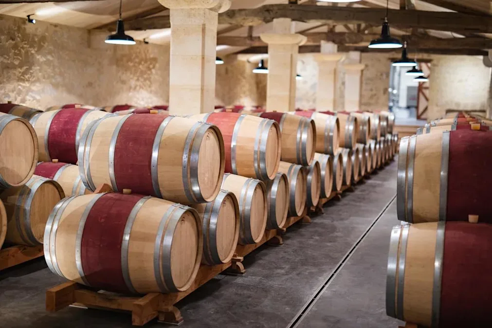 red wine basics image 03