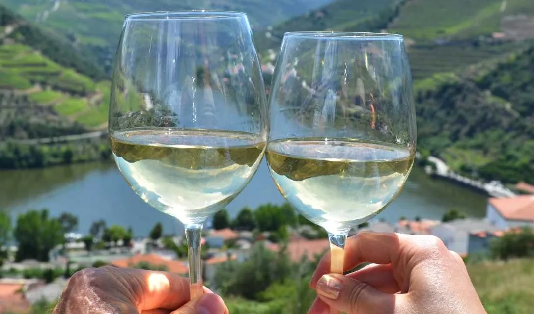 Blog promo - Vinho Verde Beginner's Guide - Image