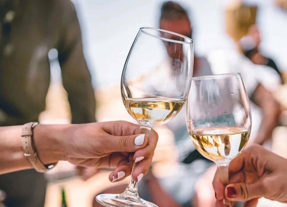 What does pinot grigio taste like image