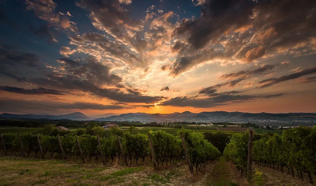 Italian Wine Regions