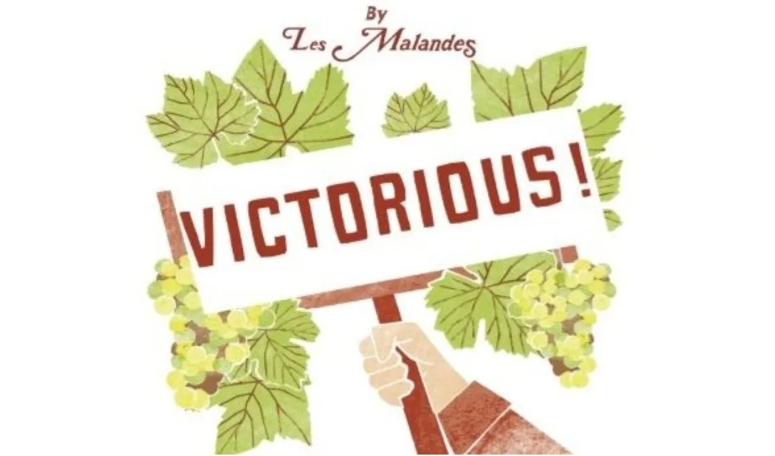 Press Release Promo - Victorious For Voltis - Image