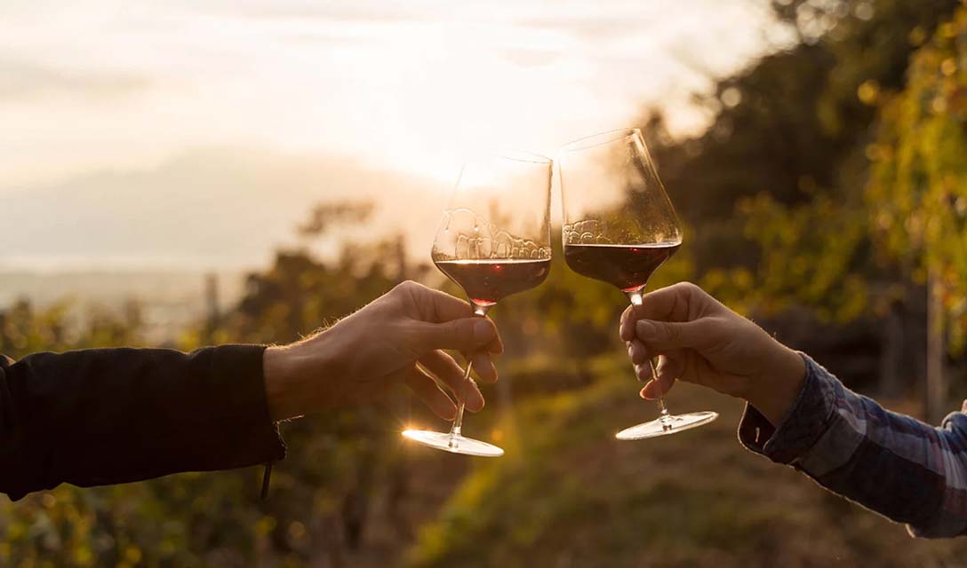 Popular types of red wine