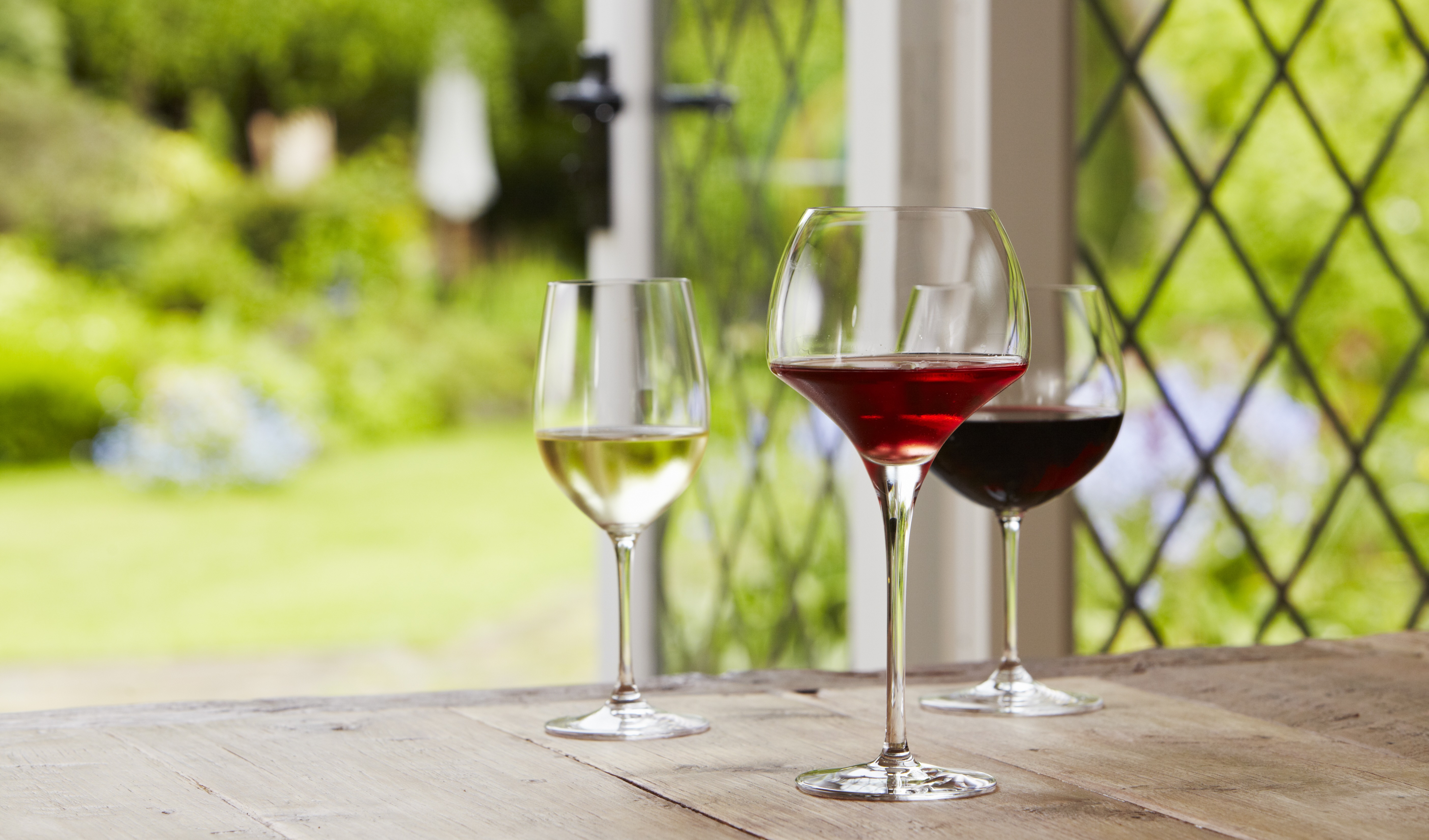 Red wine vs White wine  The ultimate wine guide