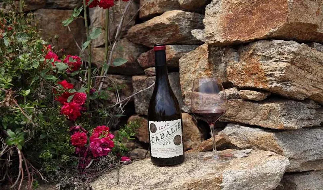 The beginner's guide to enjoying red wine