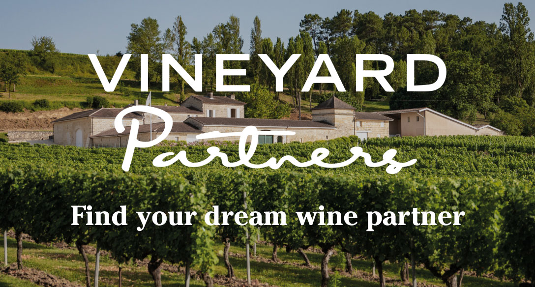 Vineyard Partners - LW