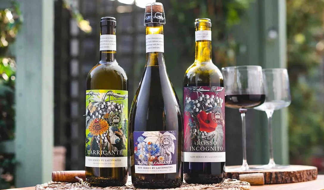 Tips from the Tasting Room: Sicily's hidden gem white