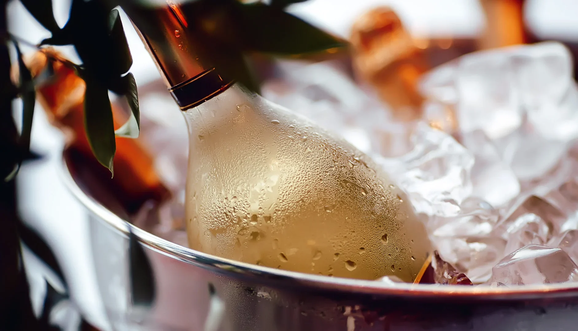 Chilled bottle of sparkling wine resting in an ice-filled metal bucket with condensation on the glass.