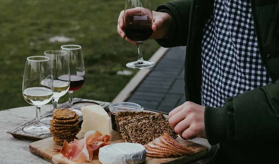 A wooden board with assorted cheeses, cured meats, and seeded crackers on an outdoor table, with several glasses of red and white wine and a person holding a glass of red wine.