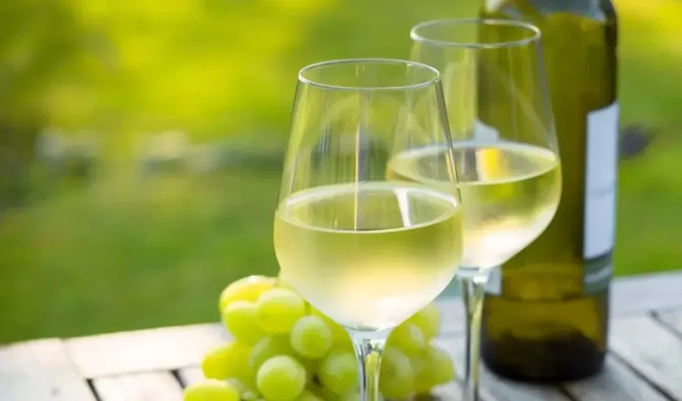 Two glasses of pale white wine on a table outdoors with green grapes and soft greenery in the background.