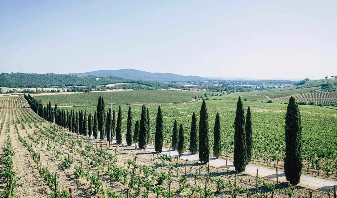 Your 8-step guide to Chianti – Tuscany’s signature red wine
