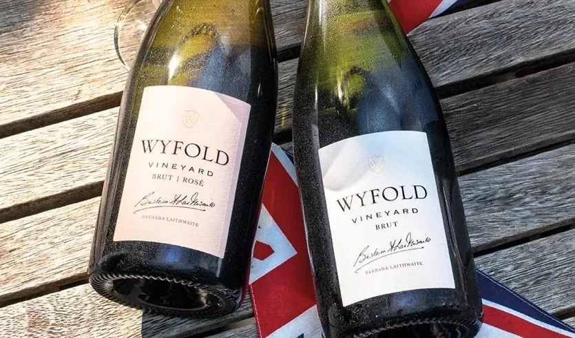 Vineyard Partners - News - Article Wyfold image