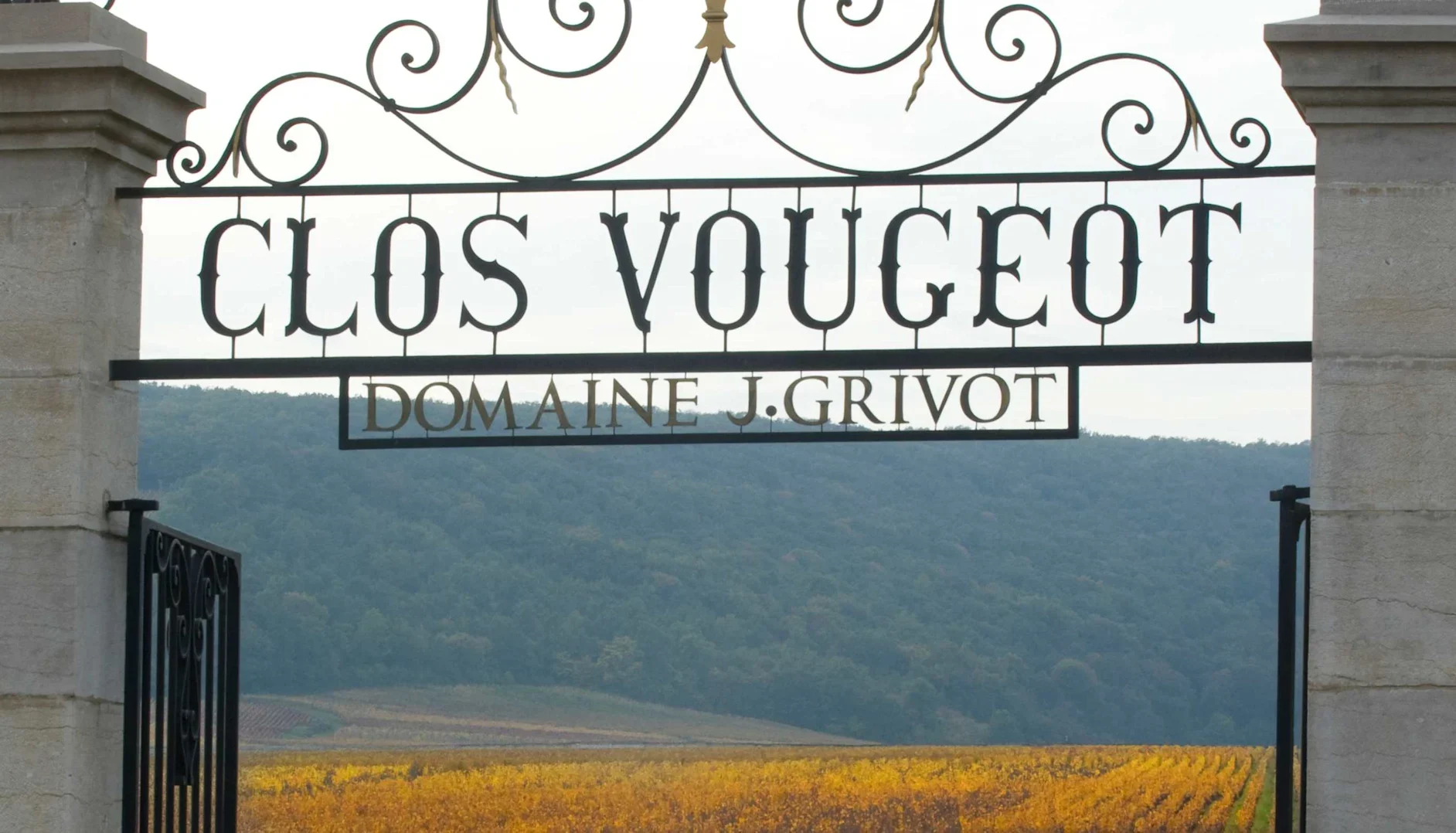 Wrought‑iron gate reading “Clos Vougeot – Domaine J. Grivot” with vineyards and wooded hills beyond.