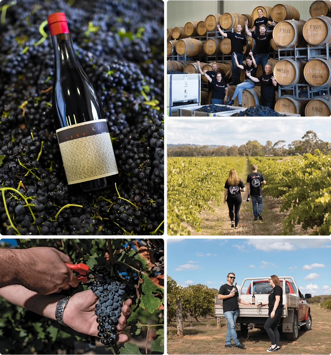 Vineyard Partners - RedHeads 1888 - Intro section top image