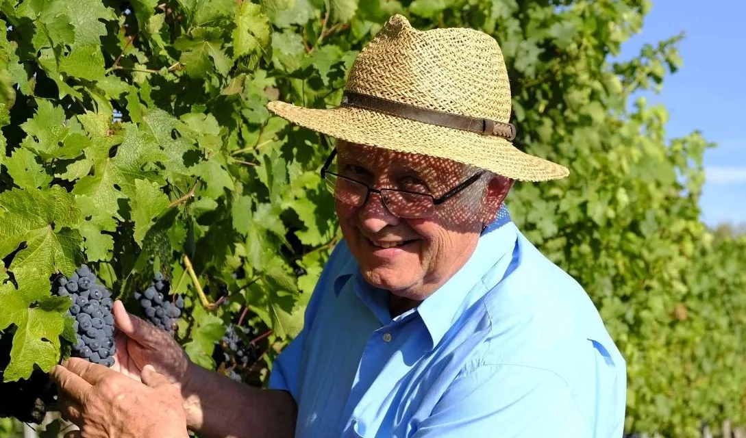 Blog promo - The History of the Wine Festival