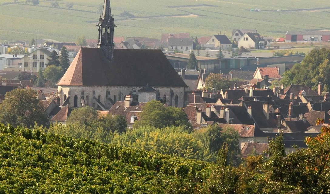 The Burgundy region and its wines – demystified
