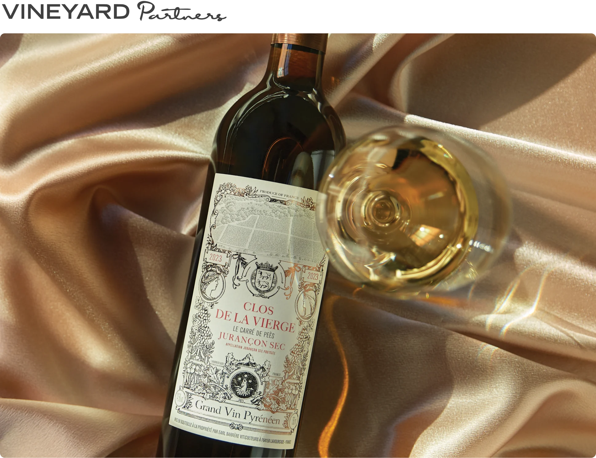 Vineyard Partners - Vierge Jurancon - Intro section top image