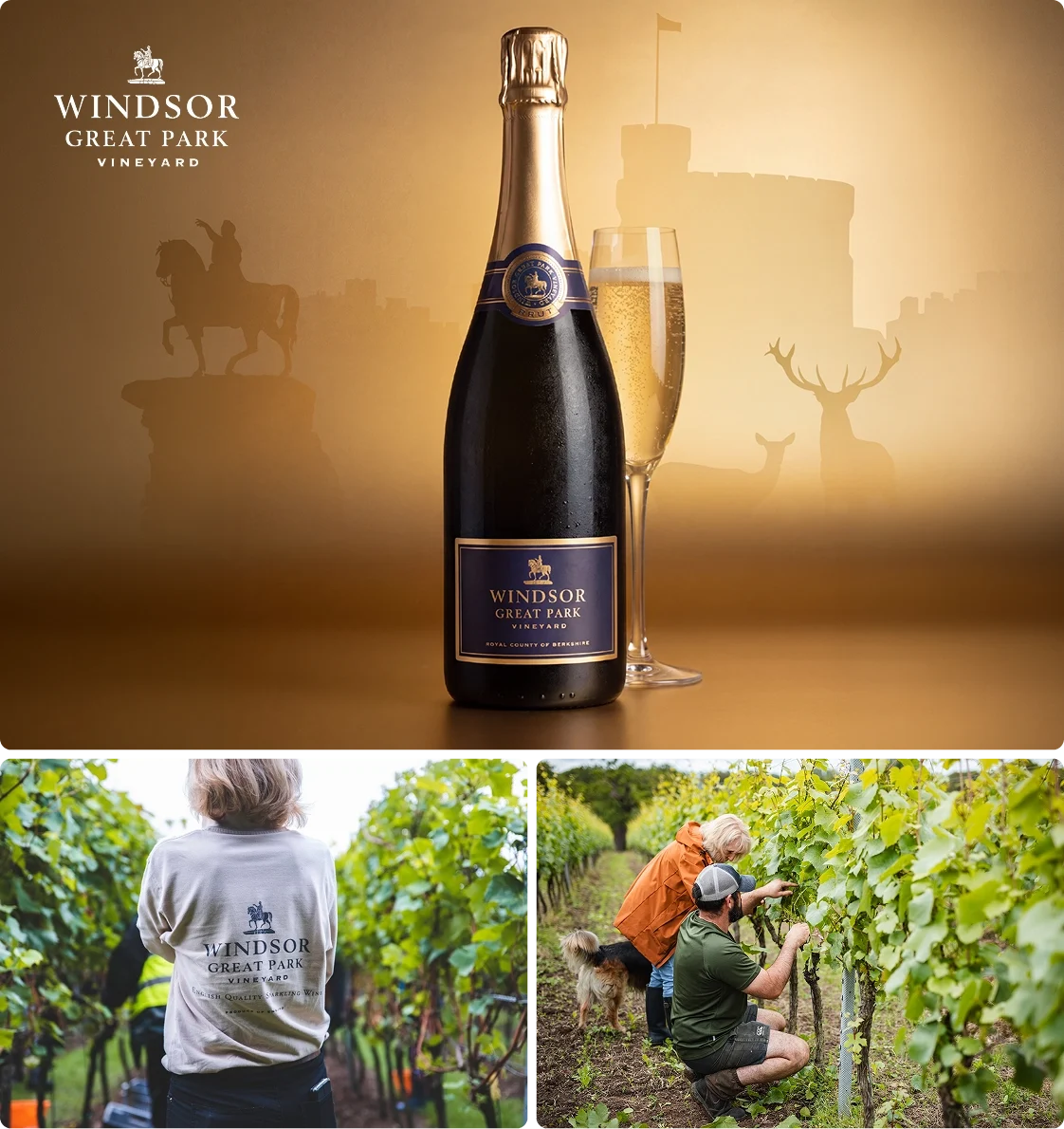 Vineyard Partners - Windsor Great Park - Intro section grid image 