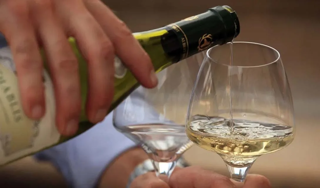Your easy guide to understanding Chablis