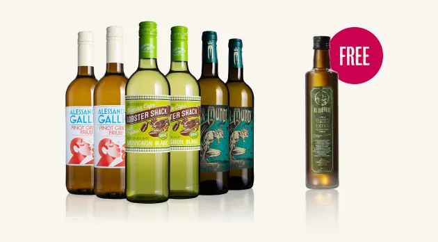 GF Subs LP - White Case - Image